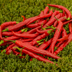 Piment Long Red Cayenne
